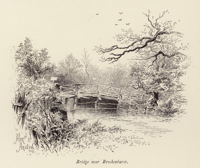 Bro nära Brockenhurst (gravyr) av William Alexander Ansted