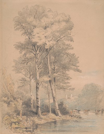 Llandovery Castle, södra Wales av William Alfred Delamotte