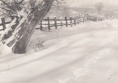 Stig i snön av William B. Post