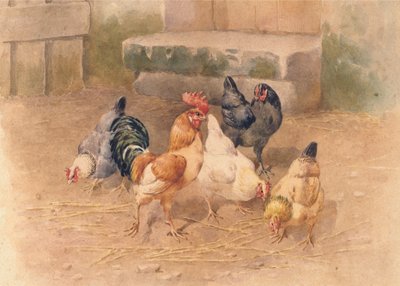 Kycklingar (akvarell med kroppsfärg på papper) av William Baptiste Baird