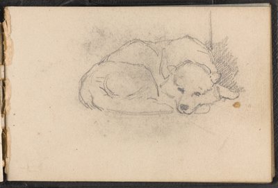 Skiss av en sovande hund, 1879 ca av William Barnes Wollen