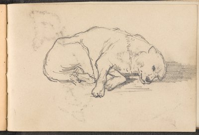 Skiss av en sovande hund, 1879 ca av William Barnes Wollen