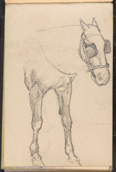 Skiss av häst med blinkers, 1879 ca av William Barnes Wollen