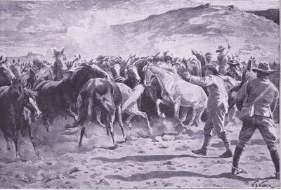 Fångandet av hästarna i Brandwater-distriktet nära Fouriesburg: runda upp flocken, illustration från After Pretoria: The Guerilla War, 1902 av William Barnes Wollen