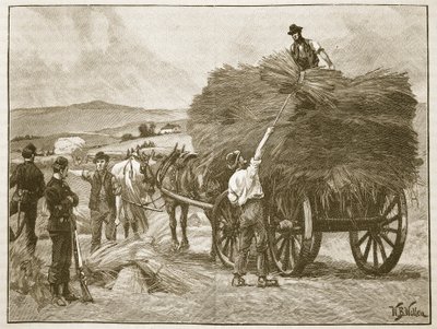Räddningen av Captain Boycotts grödor, illustration från 