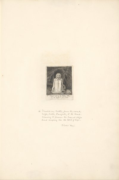 För könen - Paradisets portar, tavla 18, har jag sagt till masken. . . . av William Blake