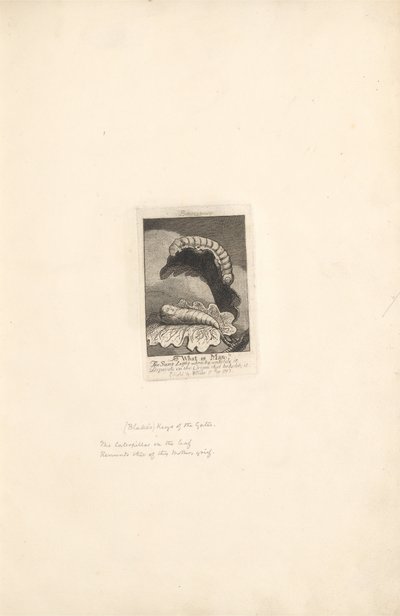 För könen - Paradisets portar, tavla 1, titelsidan av William Blake