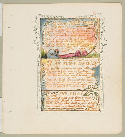 Sånger om oskuld och erfarenhet: My Pretty Rose Tree, Ah! Solblomma, Liljan, ca. 1825. av William Blake