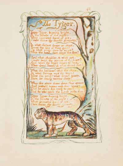 Sånger om oskuld och erfarenhet: Tygern, ca. 1825. av William Blake