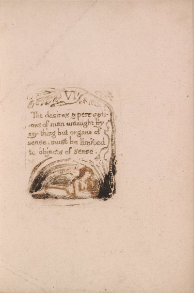 Det finns ingen naturlig religion, tavla 8, VI önskningarna och uppfattningarna . . . . (Bentley a9) av William Blake
