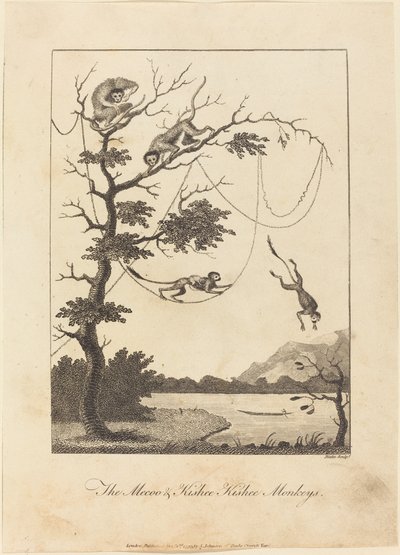 Mecoo & Kisbee Kishee-aporna av William Blake after John Gabriel Stedman