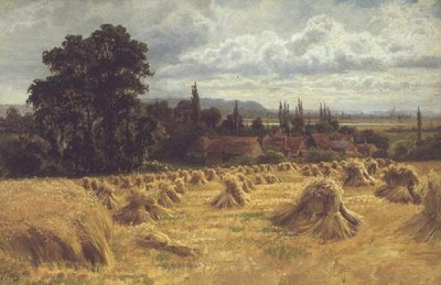 Ett majsfält nära Cookham (olja) av William Bradley