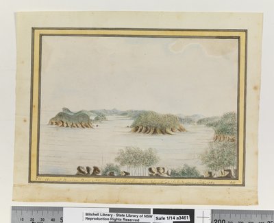 Opp. sid. 93. `SW. Arm of Broken Bay New South Wales från en ö vid ingången. sep 1789