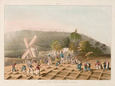 Plantering av sockerrör, ca 1820 (gravyr i kolorit) av William Clark