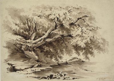 Landskap med träd som hänger över en sjö av William Collingwood Smith