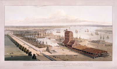 Brunswick Dock och East India Dock, Poplar, London, 1803 av William Daniell