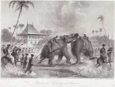 Elefanter slåss vid Lucknow av William Daniell