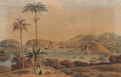 Utsikt över staden St. George och Richmond Heights på ön Grenada, tagen från bukten av överstelöjtnant Wilson, 1819 av William Daniell