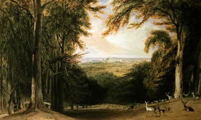Skogbevuxen landskap, Windsor av William Daniell