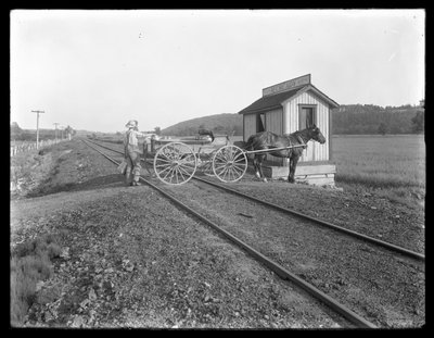 Oidentifierad man lastar mjölk på hästdragen vagn parkerad över järnvägsspår utanför McCready farm, Pennsylvania, ca 1913 av William Davis Hassler