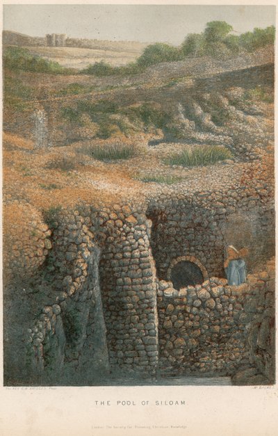The Pool of Siloam av William Dickes