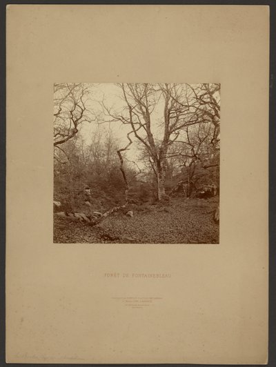 Fontainebleau-skogen av William Drooke Harrison