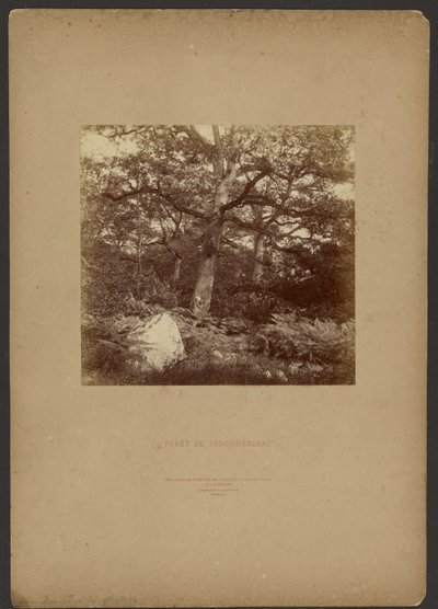 Fontainebleau-skogen av William Drooke Harrison