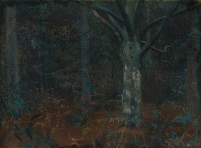 Gamla Sycamore av William Edward Stott