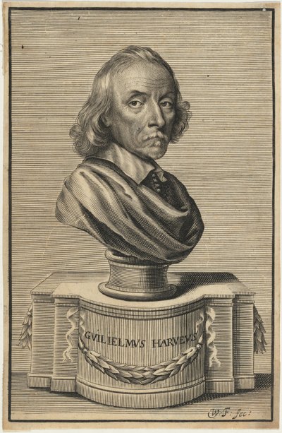  av William Faithorne
