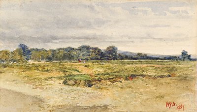 På stranden av sjön Menteith av William Fettes Douglas
