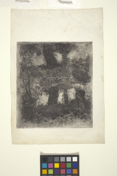 Landskap med faun och pool (reflekterat landskap) (etsning) av William Forsyth