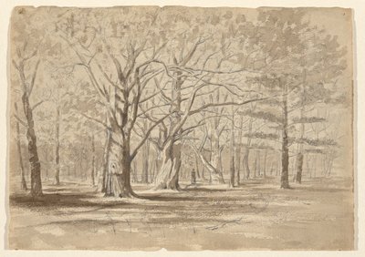 College Woods av William Fowler Hopson