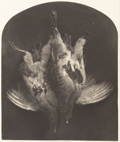 En hakparentes av William Frederick Lake Price