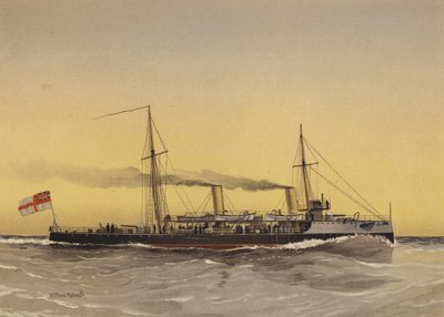 HMS Speedwell, torpedo gunboat  av William Frederick Mitchell