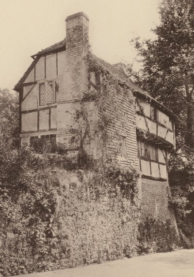 Vid Pulborough, West Sussex (svartvitt foto) av William Galsworthy Davie