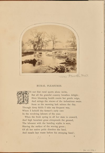 [Pastoral scen med boskap på ett översvämmat fält, England] av William Grundy