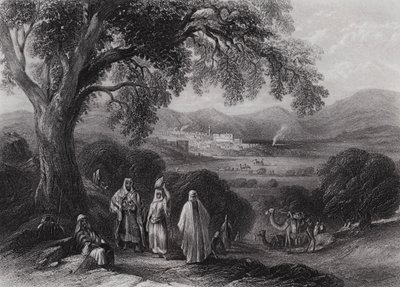 Vale of Nazareth (gravyr) av William H. Bartlett