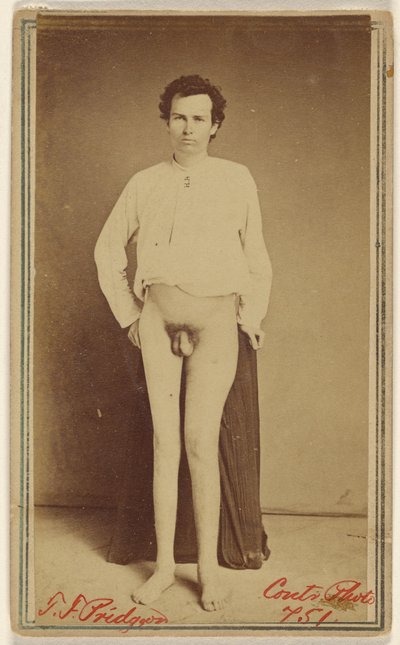 T.F. Pridgeon [offer för inbördeskriget] av William H. Bell