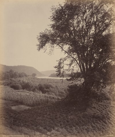 Pittoreska Susquehanna, nära Laceyville av William H. Rau