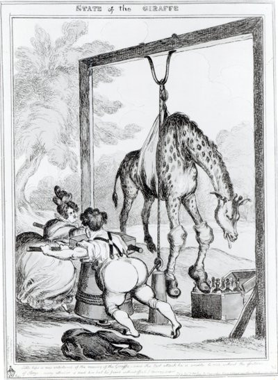 Giraffens tillstånd, 1829 av William Heath