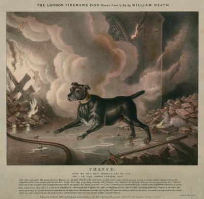 Londonbrandmannens hund av William Heath