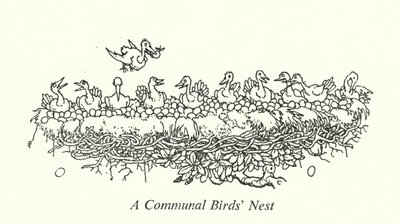 Ett gemensamt fågelbo (litho) av William Heath Robinson