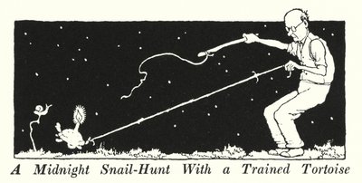 En midnattssnigeljakt med en tränad sköldpadda (litho) av William Heath Robinson