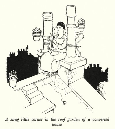 Ett mysigt litet hörn i takträdgården i ett ombyggt hus (litho) av William Heath Robinson