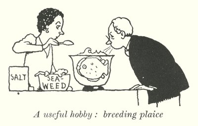 En användbar hobby, uppfödning av rödspätta (litho) av William Heath Robinson