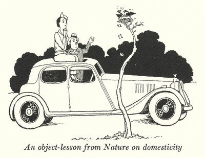 En objektlektion från Nature om hushållning (litho) av William Heath Robinson
