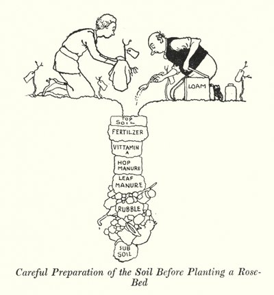 Noggrann förberedelse av jorden innan du planterar en rosenbädd (litho) av William Heath Robinson