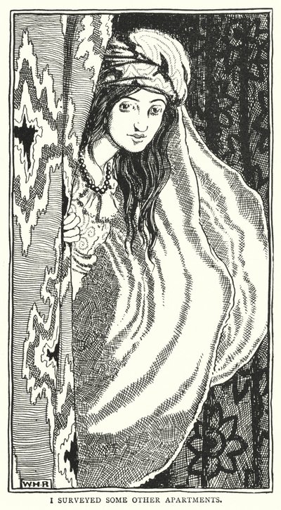 Jag undersökte några andra lägenheter (gravyr) av William Heath Robinson