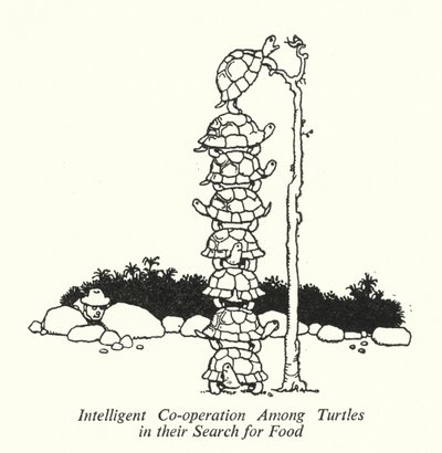 Intelligent samarbete bland sköldpaddor i deras jakt på mat (litho) av William Heath Robinson