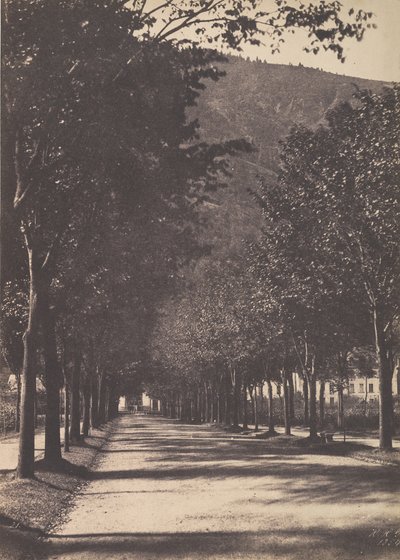 Trädens gränd, Pau, 1854. av William Henri Gebhard